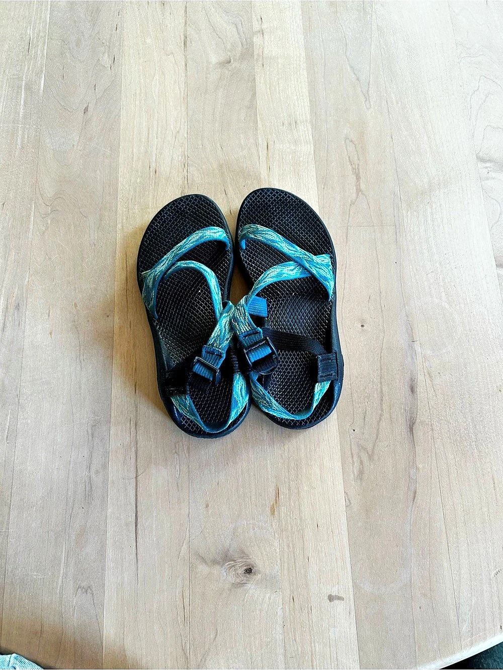 Chaco Z/1 Classic Sandals Strappy Sandals in Black & Blue
